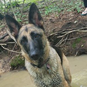 Meet your Posher, Kate